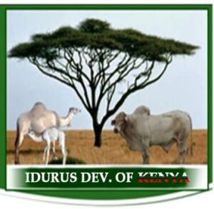 Idurus Logo